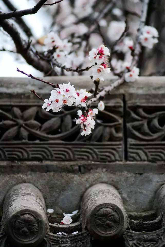 古建筑，一片瓦，遮風(fēng)擋雨