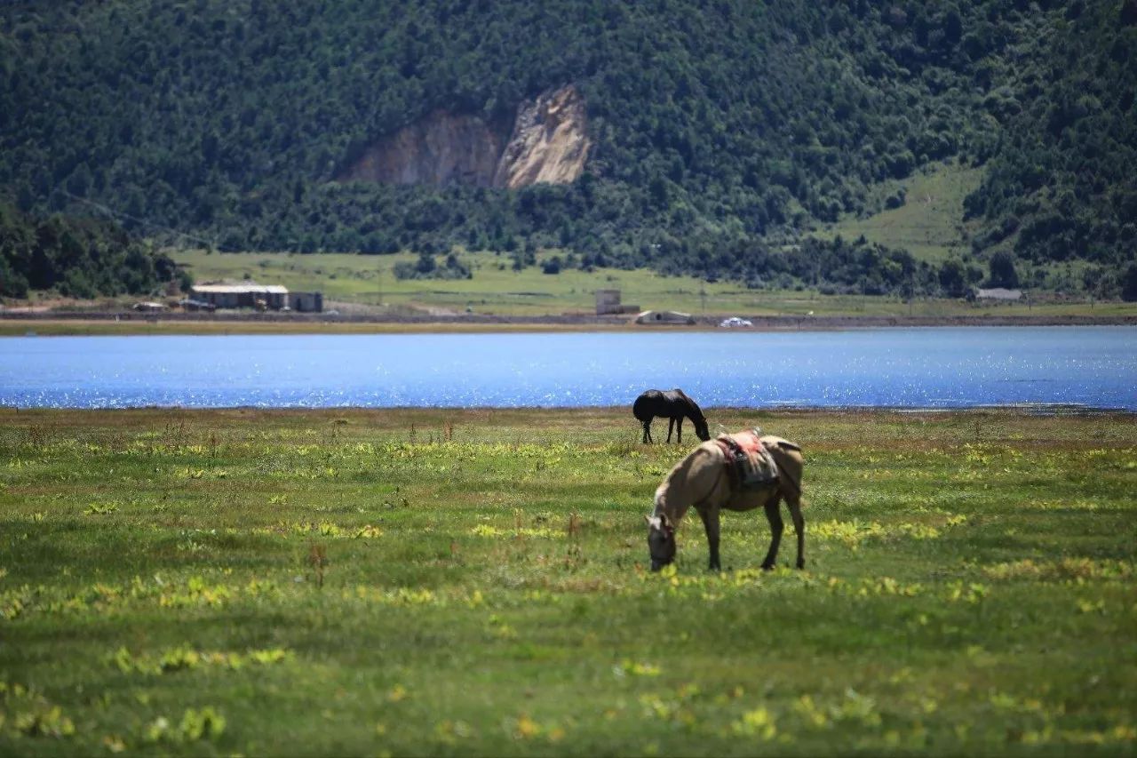 麗江束河·雲(yún)山南，相愛真的是一種奇跡