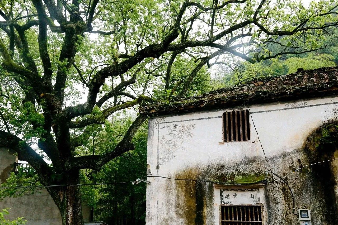 村上酒舍，體驗古村生活一起慢慢變老