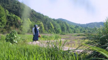 新安江畔谷掌民宿，莊園里享受青山環(huán)繞的美景