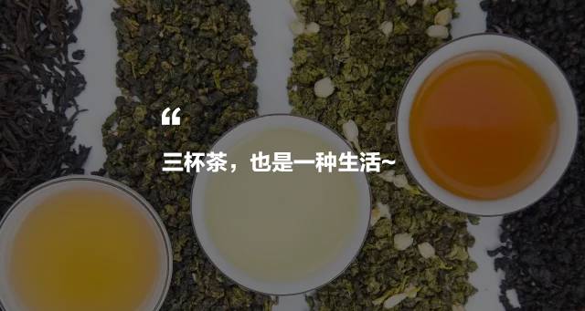 烏龍先生，用心做好茶發(fā)揚博大精深的茶文化